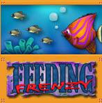 feeding_frenzy.jpg